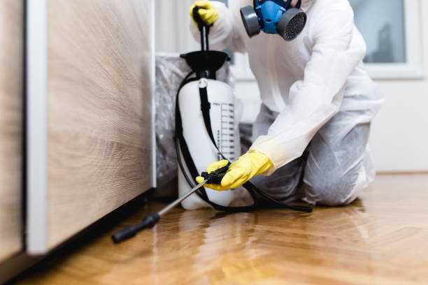 Reliable West University Place, TX Pest Control Solutions