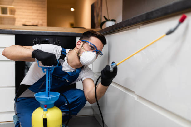 Best Bed Bug Extermination  in West University Place, TX