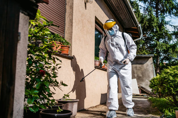 Best Affordable Pest Control Services  in West University Place, TX