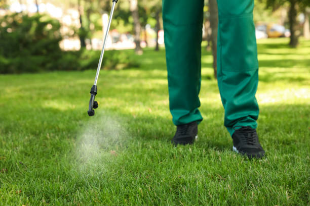 Best Exterminator Services  in West University Place, TX