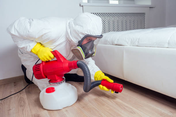 Best Pest Inspection Near Me  in West University Place, TX