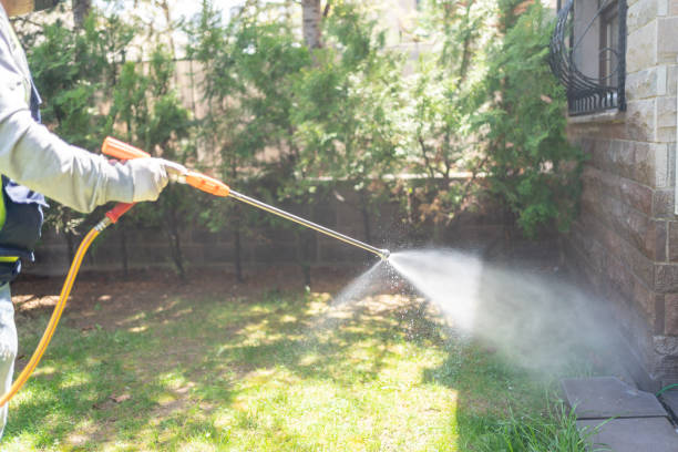 Best Residential Pest Control  in West University Place, TX