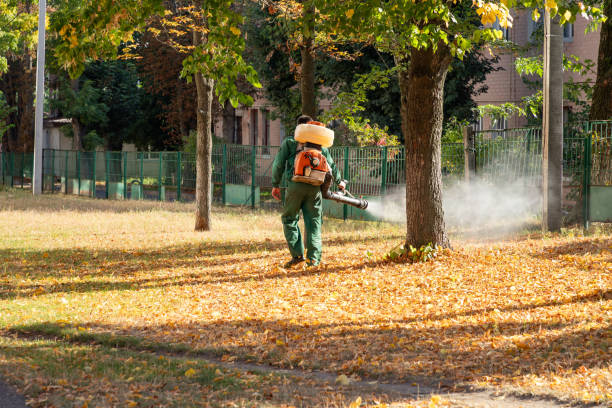 Best Affordable Pest Control Services  in West University Place, TX